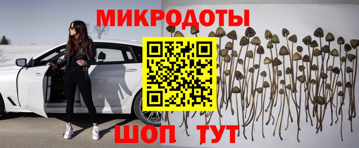Ногинск  Псилоцибиновые грибы Psilocybe  Псилоцибиновые грибы мухоморы  Вход с VPN 
