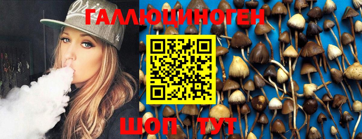 Псилоцибиновые грибы GOLDEN TEACHER Ногинск